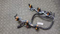 Форсунка топливная Lexus RX 2012-2022 - 21257966