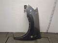Крыло Nissan Qashqai J10 2006-2013 - 21258376