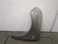 Крыло Renault Scenic 2 2003-2009 - 21268242