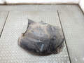 Защита арок (подкрылок) Renault Scenic 1 1996-2002 - 21270100