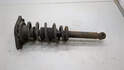 Амортизатор подвески Nissan Primera P12 2002-2008 - 21275370
