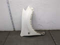 Крыло Nissan Qashqai J10 2006-2013 - 21277574