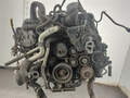 Двигатель Land Rover Range Rover 3 (LM) 2002-2012 - 21282829