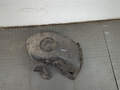 Защита арок (подкрылок) Renault Megane 2 2002-2009 - 21287160