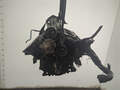 Блок цилиндров (шорт блок) Land Rover Range Rover Sport 2005-2013 - 21287571