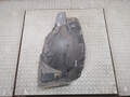 Защита арок (подкрылок) Opel Vectra C 2002-2008 - 21299156