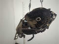 Кпп-5ст. (мкпп) Opel Corsa D 2006-2014 - 21299268