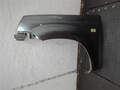 Крыло Nissan X-Trail (T30) 2001-2007 - 21334076