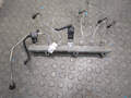 Рампа (рейка) топливная Kia Sorento BL 2002-2011 - 21345885