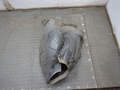 Защита арок (подкрылок) Ford Focus 2 (рест) 2008-2011 - 21352011