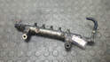 Рампа (рейка) топливная Nissan X-Trail (T30) 2001-2007 - 21355716