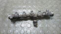 Рампа (рейка) топливная Opel Vivaro 2001-2014 - 21364491