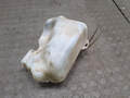 Бачок омывателя Renault Scenic 2 2003-2009 - 21367500
