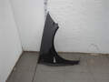 Крыло Renault Megane 2 2002-2009 - 21371710