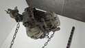 Кпп-5ст. (мкпп) Toyota Celica T200 1993-1999 - 21372260