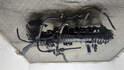 Впускной коллектор Land Rover Discovery Sport 2014-2022 - 21372527