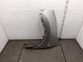 Крыло Nissan Qashqai J10 2006-2013 - 21380154