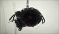Кпп-5ст. (мкпп) Ford Fusion 2002-2012 - 21391240