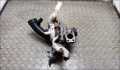 Турбина Citroen C4 Grand Picasso 2006-2013 - 21392812