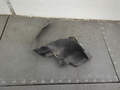 Защита арок (подкрылок) Mercedes SLK R170 1996-2004 - 21397835