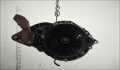 Кпп-6ст. (мкпп) Ford S-Max 2006-2010 - 21441553