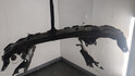 Усилитель бампера BMW X5 E53 2000-2006 - 21478577