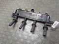 Катушка зажигания Citroen Berlingo 2 2002-2008 - 21481292