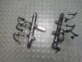 Рампа (рейка) топливная Land Rover Discovery 4 2009-2016 - 21483019