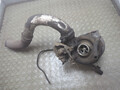 Турбина BMW X5 E53 2000-2006 - 21491637