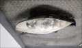 Фара передняя Mazda 5 (CR) 2005-2010 - 22151778