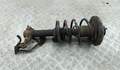 Амортизатор подвески Nissan Primera P12 2002-2007 - 52441545