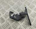 Петля двери Opel Signum  - 54329920
