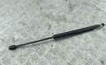 Амортизатор крышки багажника Volkswagen Passat 6 2005-2010 - 54620238
