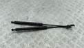 Амортизатор крышки багажника Volkswagen Passat 6 2005-2010 - 54705979