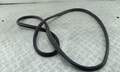 Уплотнитель Volkswagen Sharan 1995-1999 - 54706437