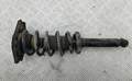 Амортизатор подвески Nissan Primera P12 2002-2008 - 54707624
