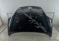 Капот Renault Scenic 1 1996-2002 - 54717165
