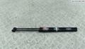 Амортизатор крышки багажника Renault Scenic 1 1996-2002 - 54789776