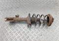 Амортизатор подвески Nissan X-Trail (T30) 2001-2007 - 54794956