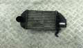 Радиатор интеркулера Volkswagen Passat 5 1996-2000 - 54810970