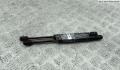Амортизатор крышки багажника Volkswagen Passat 5 1996-2000 - 54848850