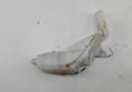 Бачок омывателя Opel Zafira A 1999-2005 - 54873662