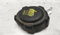 Пробку расширительного бачка Renault Kangoo 1 1998-2008 - 54964451
