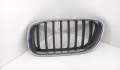 Решетка радиатора BMW X5 E53 2000-2007 - 54968642