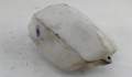 Бачок омывателя Renault Scenic 2 2003-2009 - 54979977