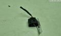 Фишка (разъем) Volkswagen Golf 5 2003-2009 - 55035812