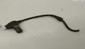 Датчик abs Audi A4 (B6) 2000-2004 - 55037173