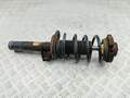 Амортизатор подвески Volkswagen Passat 6 2005-2010 - 55081135