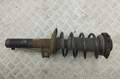 Амортизатор подвески Volkswagen Passat 6 2005-2010 - 55088624