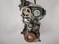 Двигатель Renault Scenic 2 2003-2009 - 55103481